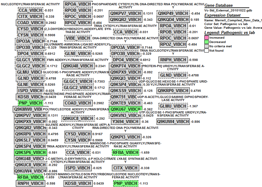 Nucleotydal transferase.PNG