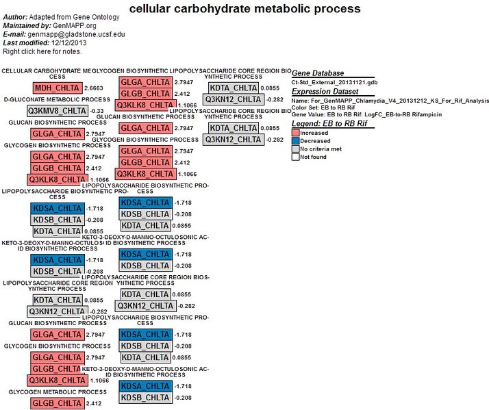 File:EBtoRB Rifampicin Cellular Carbohydrate Metabolic Process.jpg