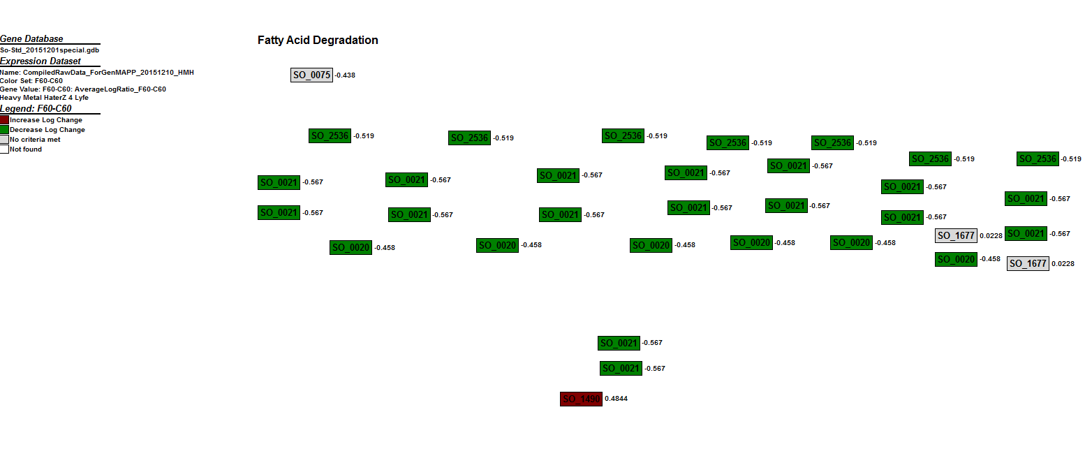 Fatty Acid Degradation 20151213 HMH.PNG