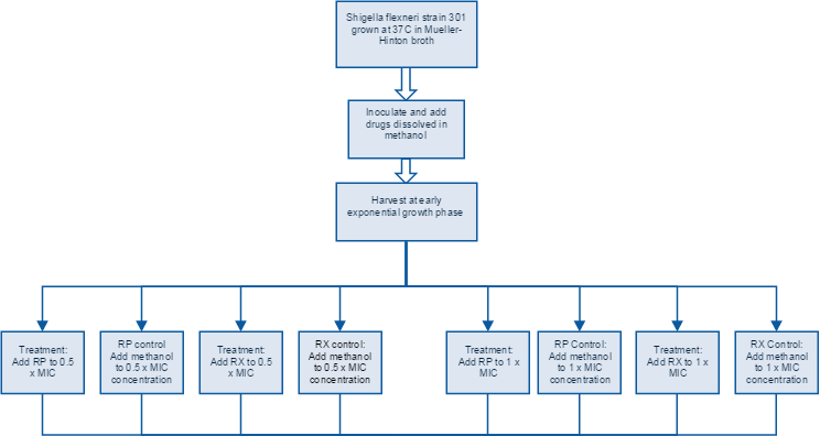 KZflowchart3.PNG