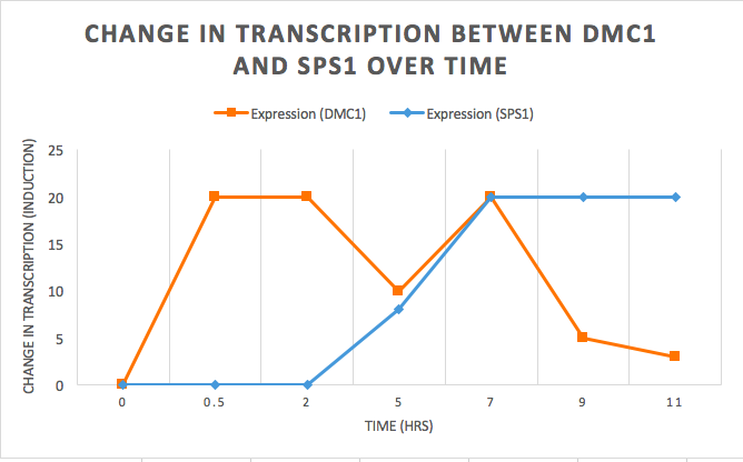 TR transcription dmc1 sps1.png