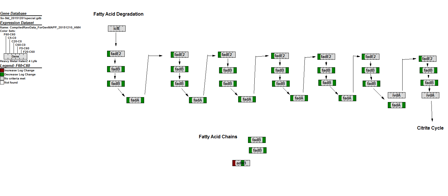 Fatty Acid Degradation Compiled 20151216 HMH.PNG