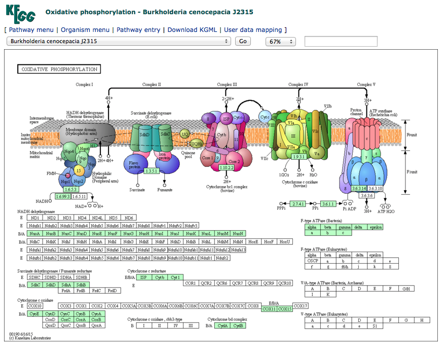 Screen Shot 2015-12-14 at 11.10.55 PM.png