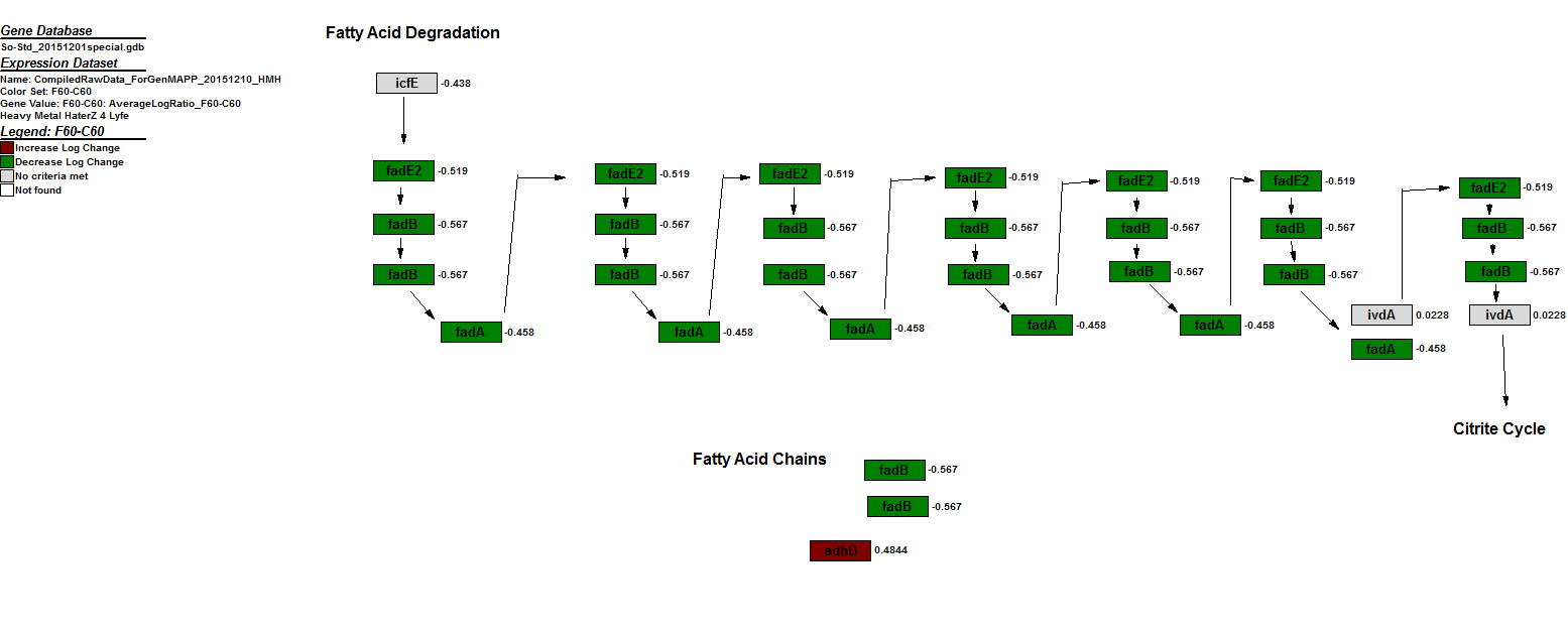 Fatty Acid Degradation 20151214 HMH.PNG