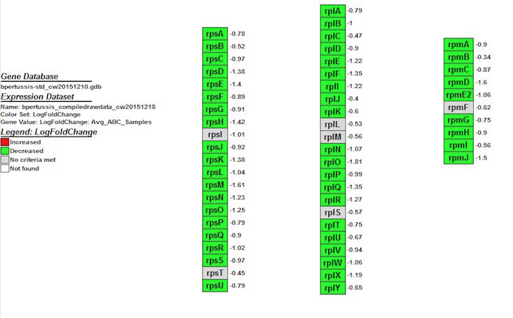 Bpertussis ribosomepathway cw20151218.jpg