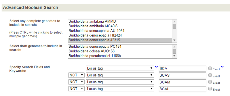 File:Final TestSearch BL.png