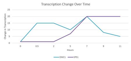 TranscriptionGraph.jpg