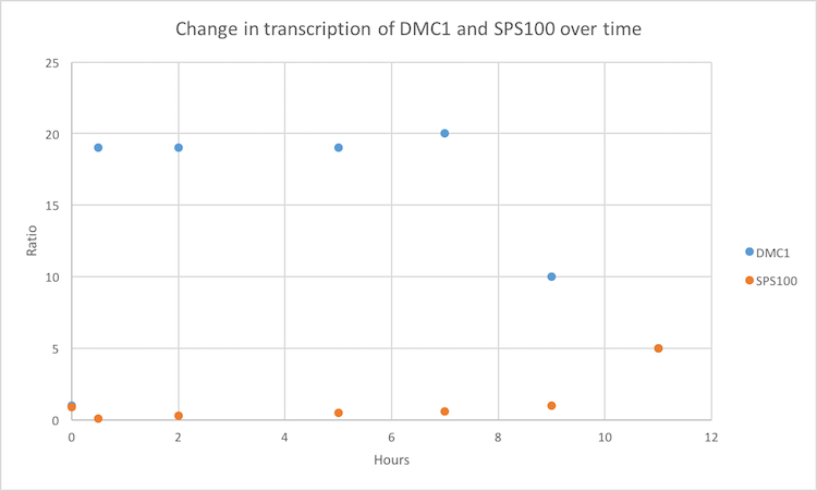 DMC1&SPS100 cwong34.png