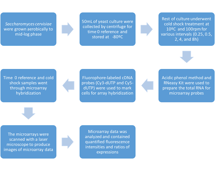 Sahara T et al article flowchart CW.png