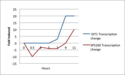 Balduccitranscriptiongraph.png