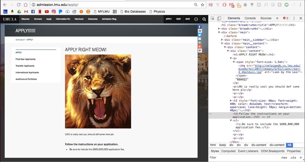 Mbalducc modifed page with tools.jpg