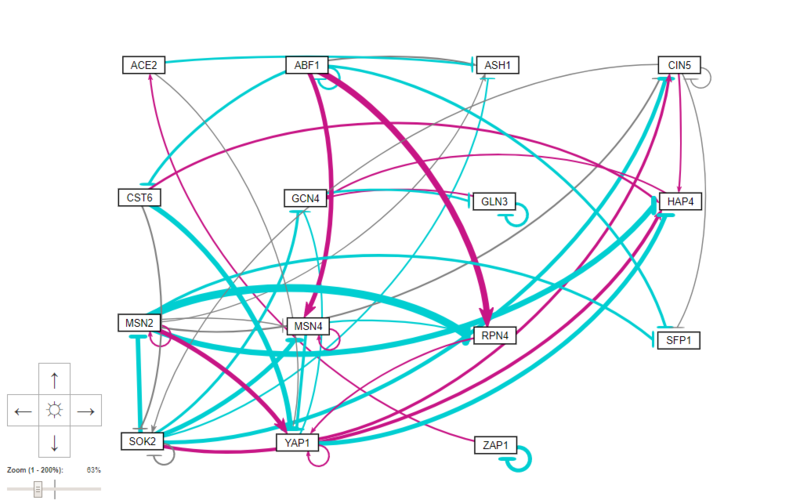 File:GRNsight Regulation Magnitude Visualization of 15-gene 44-edge teamJASPAR Sigmoid estimation.PNG
