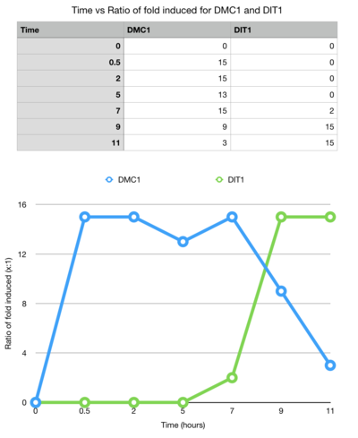 Cazinge Week 6 Graph.png