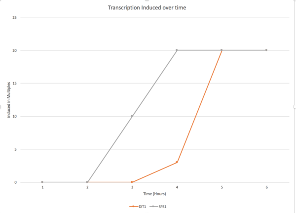 Induction2genegraphweek6.png