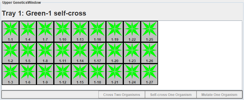 Eyoung20Green 1 self cross.png