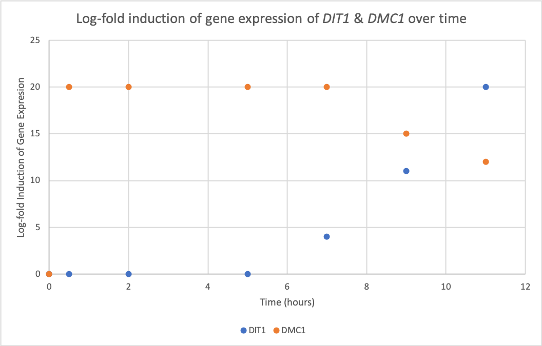 A graph of DMC1 & DIT1 gene expression over 6 timepoints.