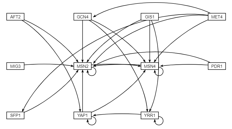 Profile4048 GRNsight matrix.PNG