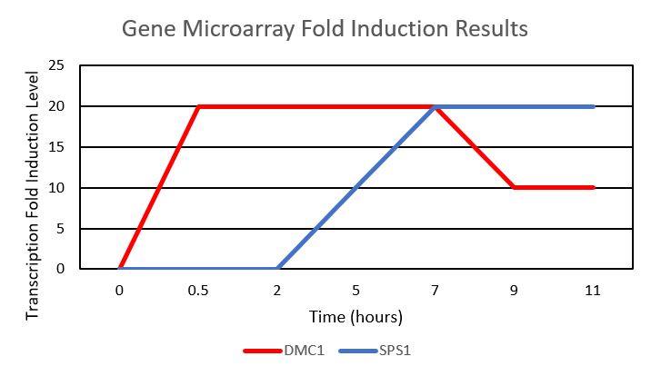 Mavila9 GeneMicroarrayGraph.JPG