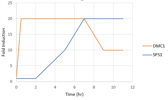 Ymesfin q1 graph.PNG