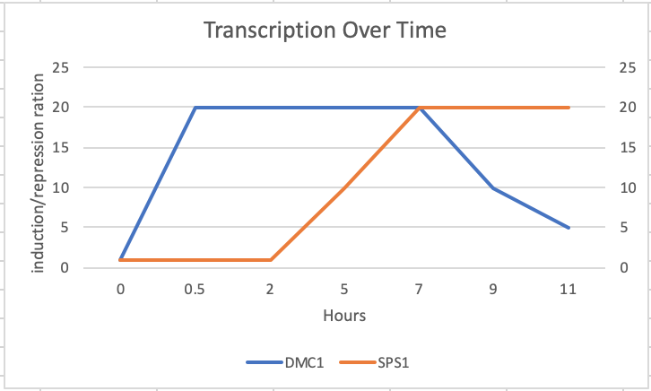 Eyoung20translationovertimegraph.png