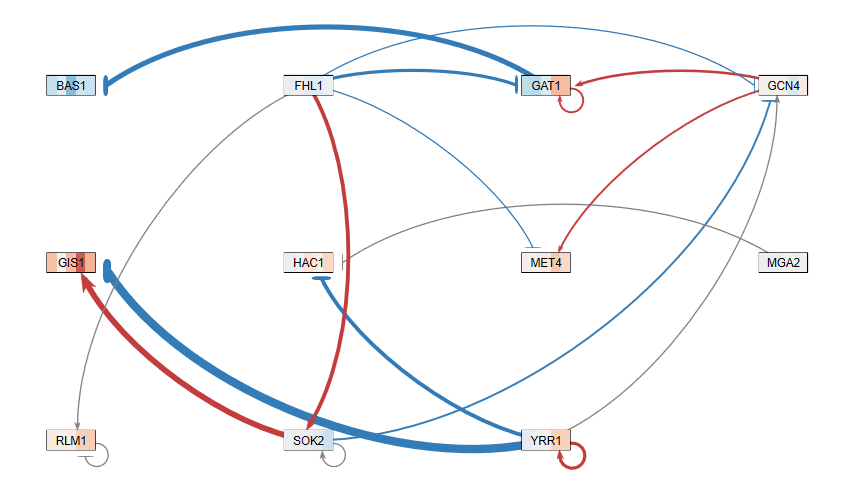 Barreto ymesfin colored network.PNG