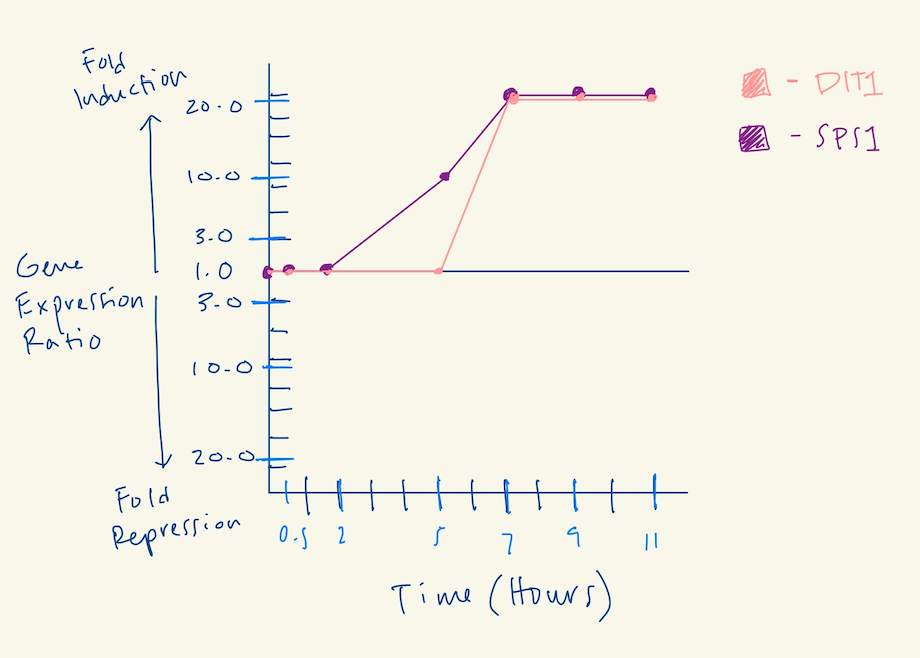 Geneexpression3.png