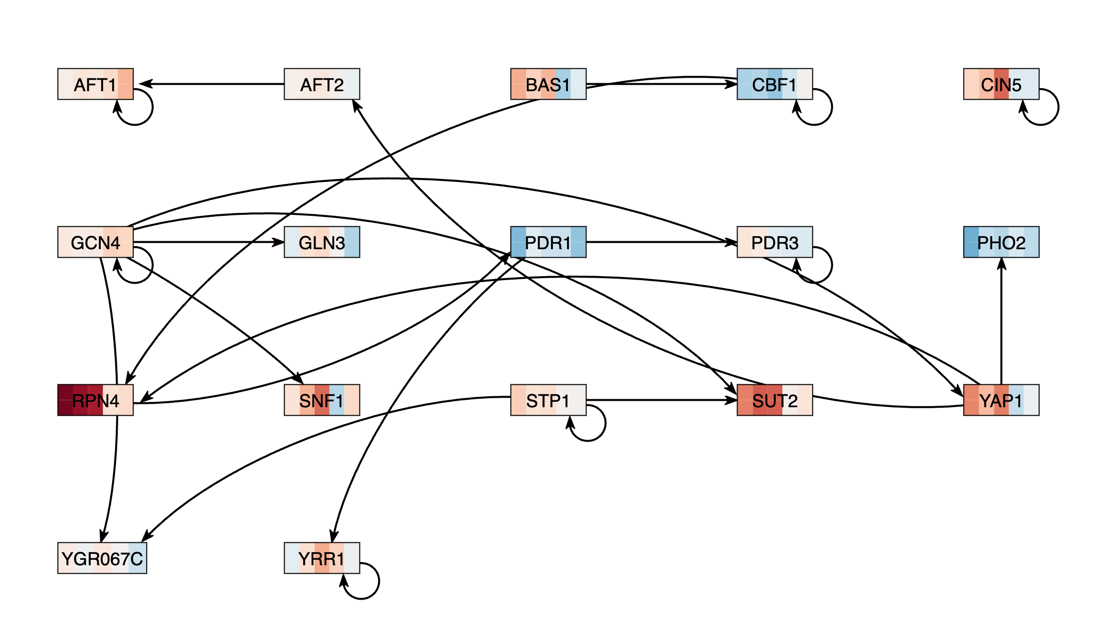 GRN dCIN5 prof22 hivanson final.png