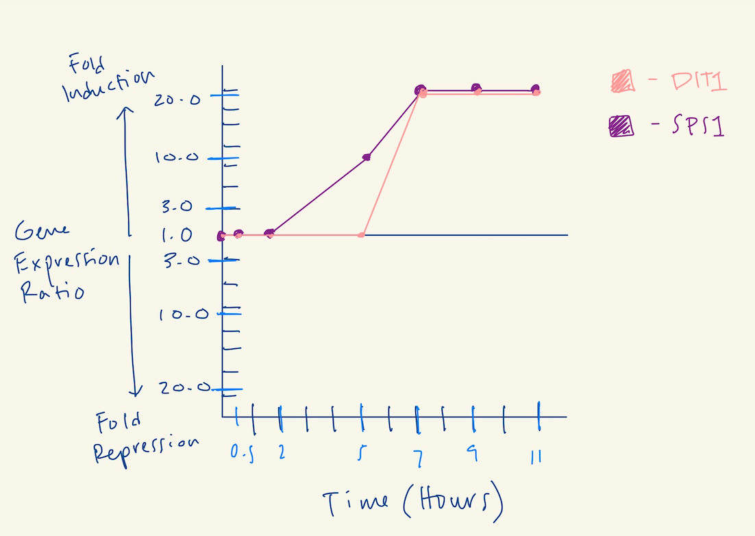 Geneexpression.png